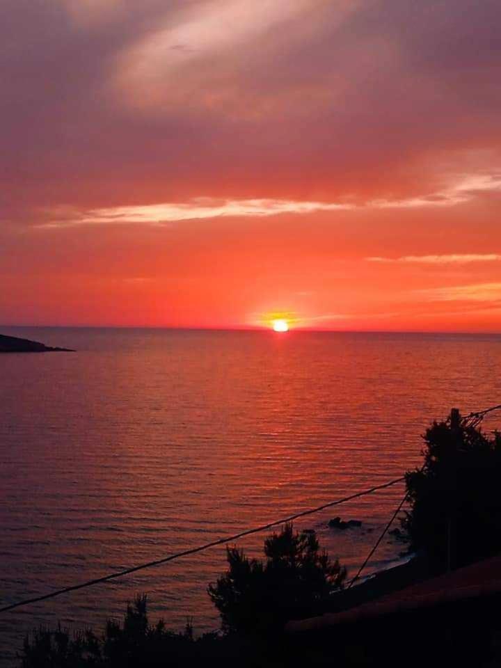 Kalymnos Platy Gialos Mousellis Makis Apartments Panormos  Екстер'єр фото